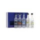 Kit Vodka Grey Goose Collection 5X50 ml Miniatura