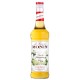 Xarope Monin Elderflower - Flor Sabugueiro 700 ml