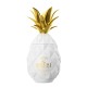 Licor Pinaq Colada 50ml - Miniatura