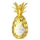 Licor Pinaq Gold Original 1000ml