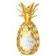Licor Pinaq Original Tropical 750ml
