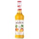 Xarope Monin Manga 700 ml